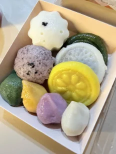 Traditionelle koreanische Reiskuchen (Tteok)